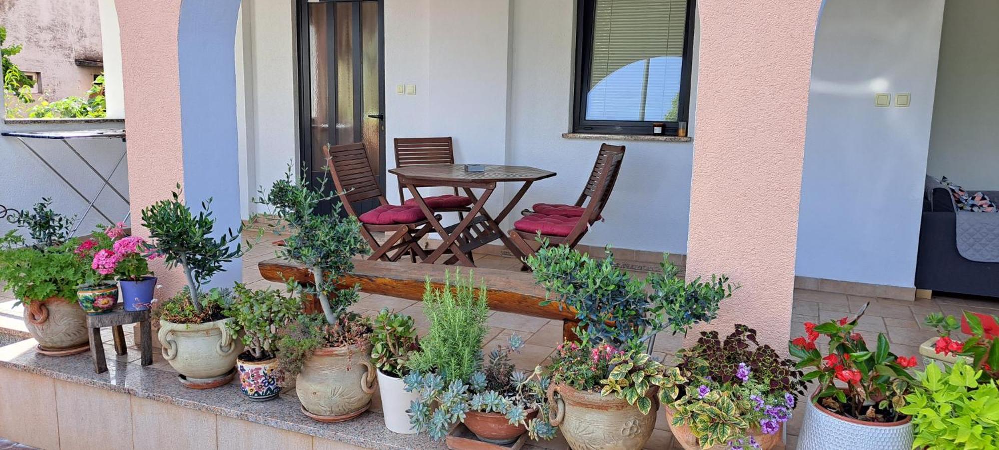 Apartmani Bubnic Umag Exterior foto
