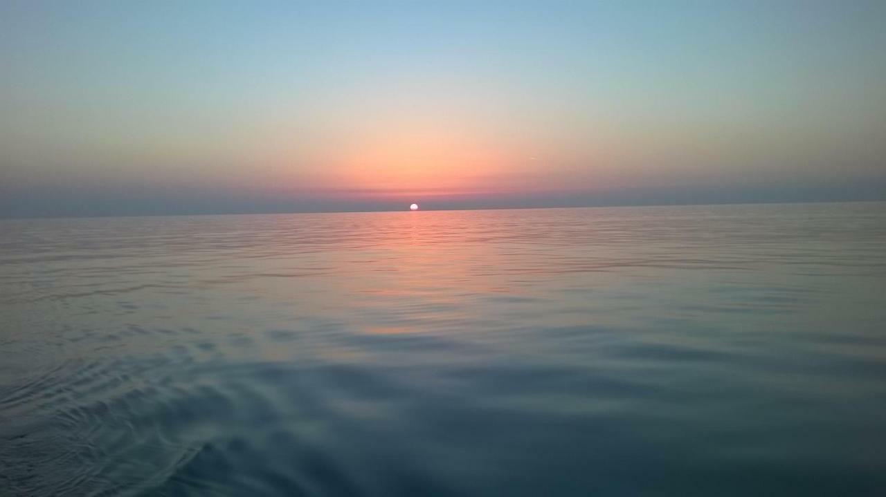 Apartmani Bubnic Umag Exterior foto
