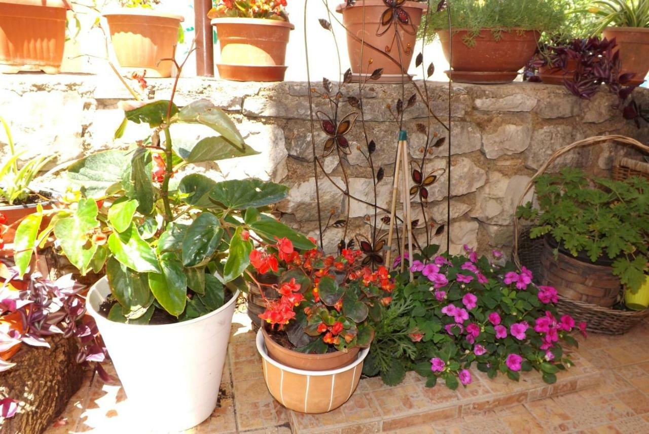 Apartmani Bubnic Umag Exterior foto